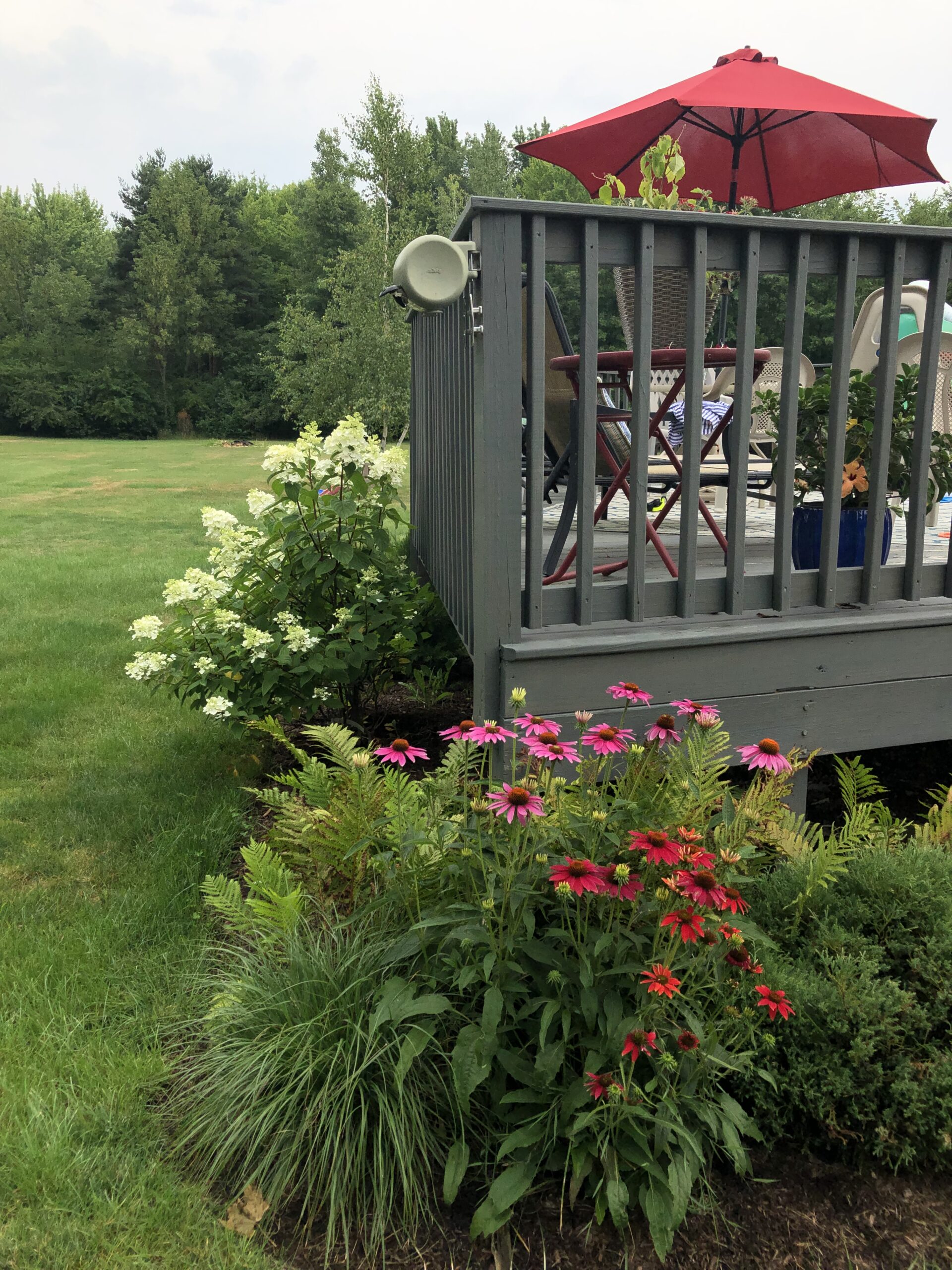 July 2022 Garden Tour Lisa S Two Cents